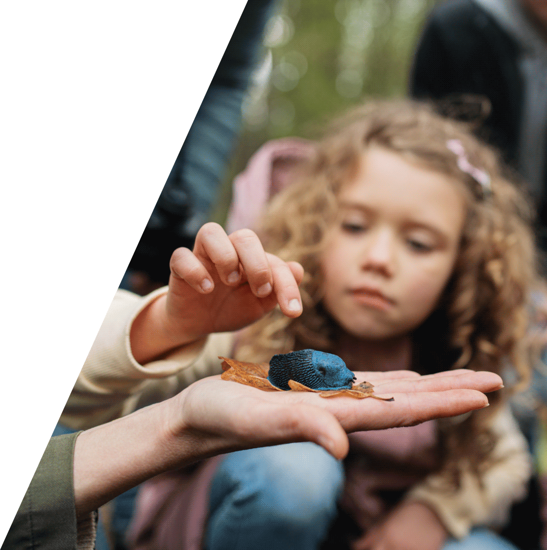 Desktop Image Alt Text